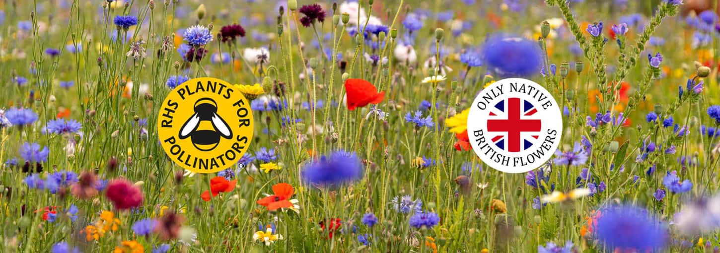 Pure Seeds bannner with RHS logo and British flowers logo